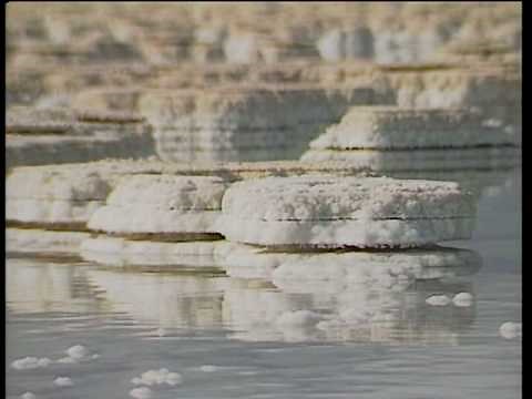 イスラエルに見る聖書の世界　旧約聖書編　ミルトス