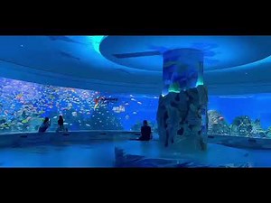 Focus on Core Needs, Create Custom Acrylic Solutions for Aquariums#oceanpark #acrylic