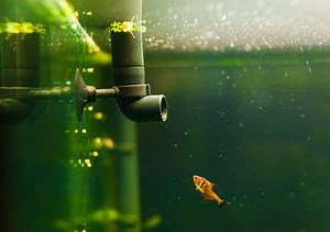 Fish Tank Filter Not Pumping Water? (We Have a Fix!)