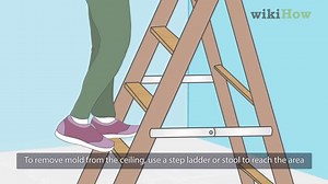 How to Clean Mold off of a Ceiling (Plus Prevention Tips)