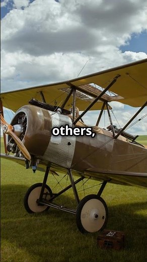 The Legendary Avro 504 WWI's Iconic Biplane