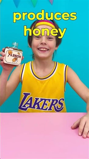 🐓 What Do Animals Give Us? Let’s Find Out! 🐄🍯🧶 #shorts #kids