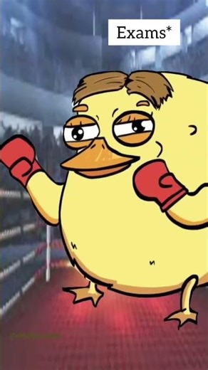 What is D2H Service REALLY LIKE?