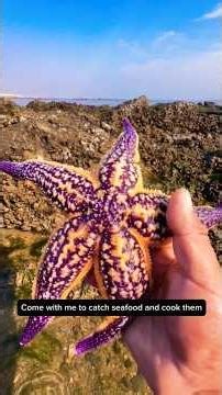 Fresh Ocean Catch — Cooked on the Spot! 🔥🌊 #beachlife