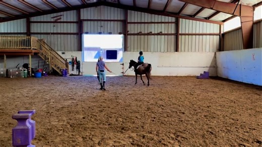 The lunge line is the best tool we have, giving riders the most bang for their buck when it comes to learning efficiently. In this case, we used it for my kiddo who has been cantering and jumping, to work on their leg position. And it worked! The finished with a canter on the rail with a much improved leg. #batteriesnotincluded #buzzyyourethebestdonttelltheothers #trainerskid | Capstone Farm | Facebook