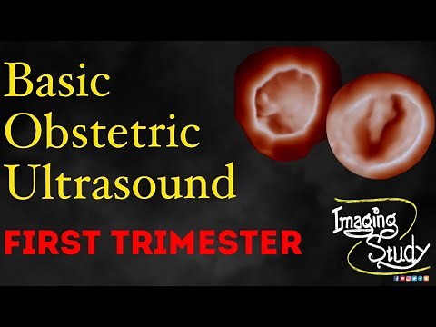 Basic Obstetric Ultrasound: First Trimester Pregnancy