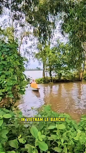 7.4K views · 175 reactions | In Vietnam i Pacchi Arrivano in Barca nelle Zone più Remote | Raccolta di Contenuti | Facebook