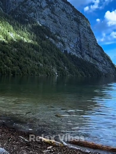A visual reset your brain has been craving. Immersive nature visuals designed to reduce stress, calm the mind, and improve focus. Cinematic scenery created for deep relaxation and mental clarity. Watch till the end for the full calming effect. #relaxvibes #cinematicnature #relaxingvisuals #Stressrelief #Atmospheric