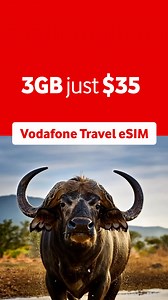 Stay connected in 25 African countries and roam like a local. Add extra data, keep your number. Fast & easy to set up online | Vodafone Group