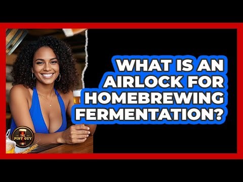 What Is An Airlock For Homebrewing Fermentation?