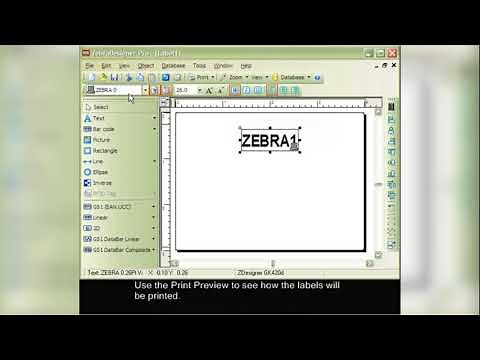 Zebra Designer Software Adding a counter to the text field