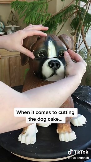 Dog Cake Cutting Fails & Funny Moments!