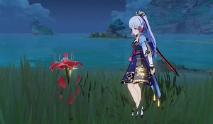 What's the use of Dendrobium in Genshin Impact?