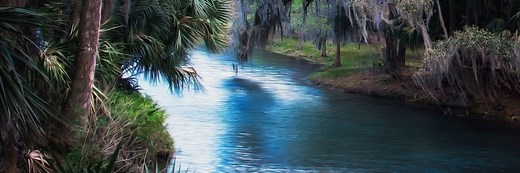 Riparian Rights In Florida: 11 Things (2025) You Have To Know
