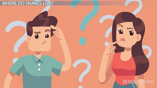 Snake Habitat: Lesson for Kids