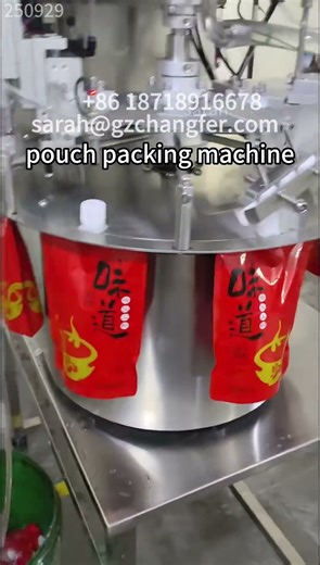 pouch packing machine for liquid and paste materials