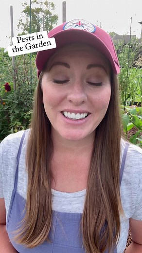 7.5K views · 293 reactions | Using an Integrated Pest Management System (IPM) is a better way to approach pest control in the garden. #gardening #gardentips #organicgardening #pestcontrol #organicpestcontrol | From Dream to Seed | Facebook