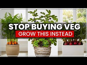 Top 12 Vegetables That Thrive In Containers And Small Spaces