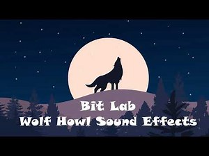 Animal Sounds: Wolf Howling Sound Effects with Variation and Animation