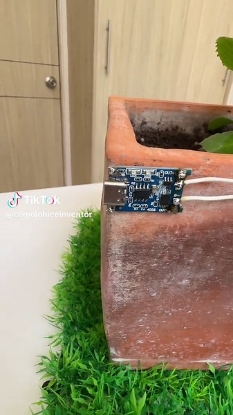 Riego casero automático #riego #temporizador #robotic