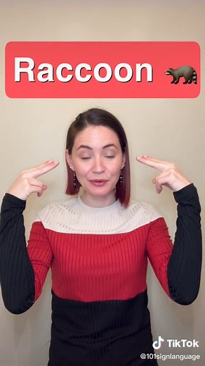 Sign Language 101 on TikTok