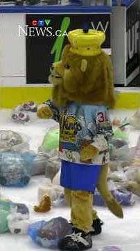 Thousands of stuffed animals tossed onto ice at Rogers Place