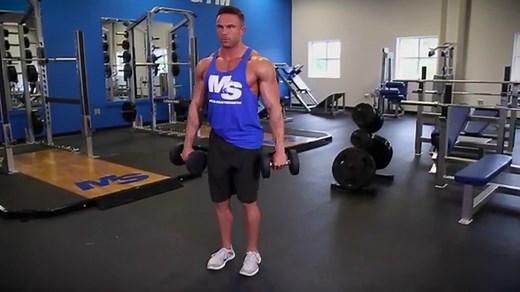 Standing Dumbbell Reverse Curl