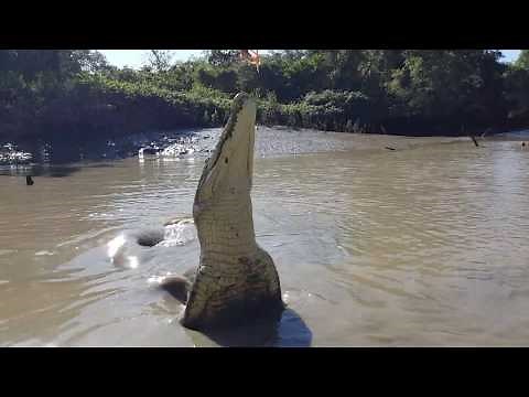 Jumping Crocodile Cruise in Adelaide River Darwin Australia
