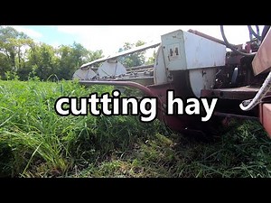 cutting hay