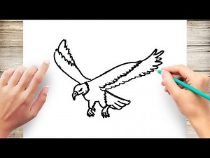 How to Draw a Flying Eagle Step by Step for Kids
