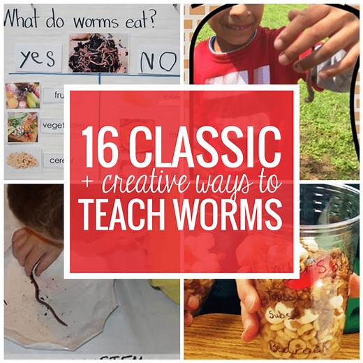 16 Classic and Creative Ways to Teach Worms - Teach Junkie