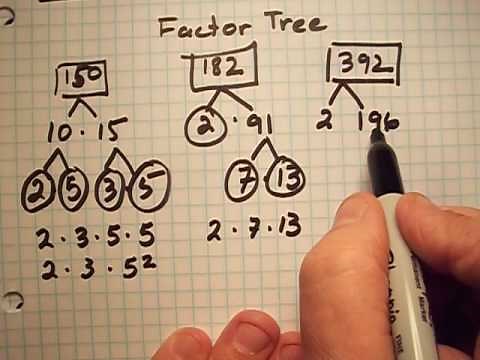 Prime Factorization: factor trees and ladder method