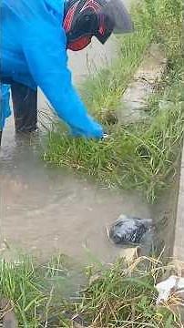 Unclogging the Blocked Drain That Held a Flood!