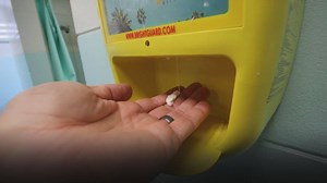 FREE SUNSCREEN DISPENSERS: All Tampa parks now have them thanks to a donation from Impact Melanoma! 🌞 LEARN MORE: fox13news.com/health/270534785-story | FOX 13 News - Tampa Bay