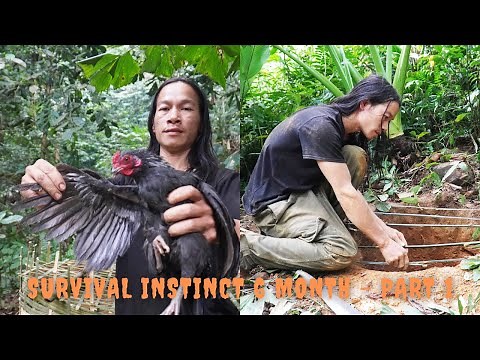 Survival Instinct - The 6 Month Survival Challenge In The Jungle - part 1