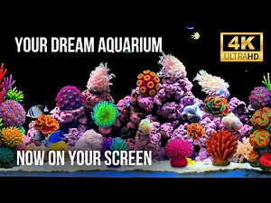 🌊 4K Aquarium Live Stream | 12 Hours of Relaxing Fish Tank with Natural Sounds