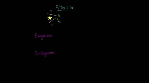 Divided attention, selective attention, inattentional blindness, & change blindness
