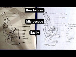 How to draw a compound microscope - step by step - easy to draw