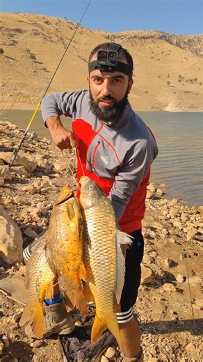 ‎Ömer Öztürk / الصياد والمغامر عمر‎ on Instagram‎: "Abooo ikişer ikişer balık alıyoruz bugün 🐟🎣 #balık #sazan #carp #olta #atçek #spin #şabut #tatlısu #FishingLife #fish #صيد #سمك #كارب"‎
