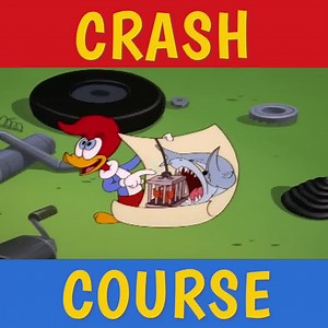 Winnie Woodpecker sells her TV to take flying lessons. | Woody Woodpecker