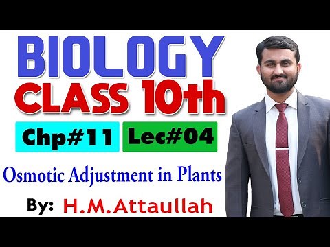 Osmotic adjustment in Plants | Chapter # 11 | Biology Class 10th | Lec.# 4