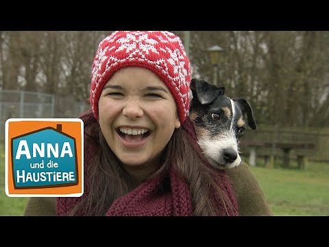 Hund | Information für Kinder | Anna und die Haustiere