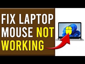How To Fix Laptop Mouse Not Working (Easy Step-By-Step Guide To Troubleshoot The Problem)