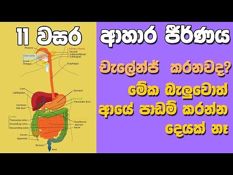 O/L Science Sinhala | Grade 11 Science Unit 6 Part 1 | Digestive System | ආහාර ජීර්ණ පද්ධතිය