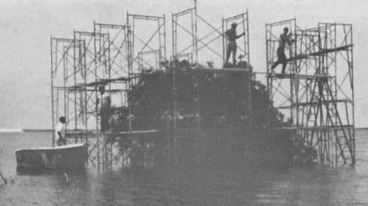 National Parks in the History of Science: Island Biogeography (Video) (U.S. National Park Service)