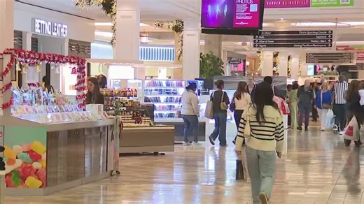 Droves of shoppers at Mall of Georgia