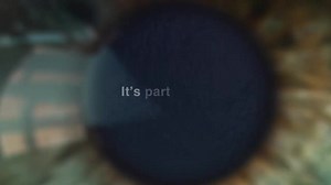 13 reactions | From #overfishing and #pollution to #DeepSeaMining, we risk damaging our most important ally in combating the triple planetary crisis. The #HighSeasTreaty will address significant threats to biodiversity in the #HighSeas by building resilience. Via High Seas Alliance | United Nations Biodiversity | Facebook