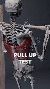 1.2M views · 5.9K reactions | PULL-UP TEST! Did you know that a...