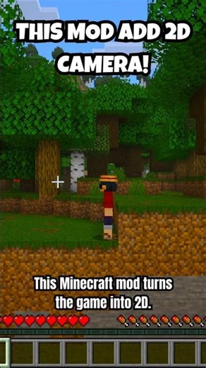 this mod add 2d camera! #minecraft #minecraftshorts #minecraftmods