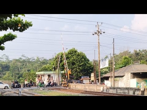 Railroad Crossing Indonesia train, Live Hunting di JPL 363A